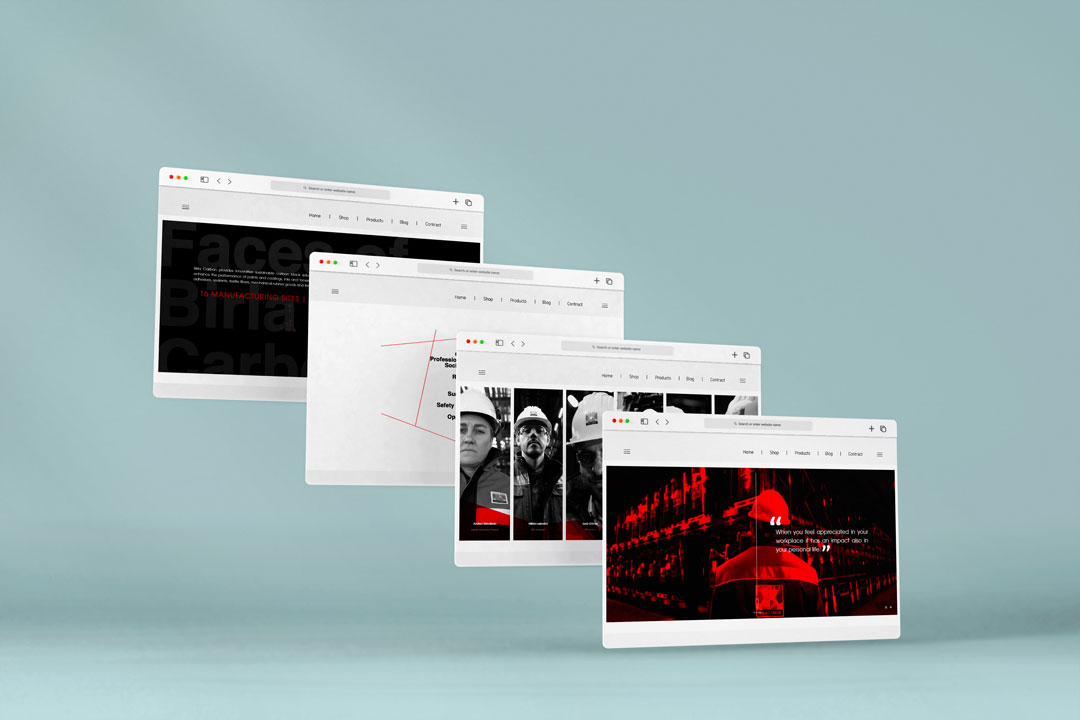 Desarrollo Web Faces of Birla Carbon